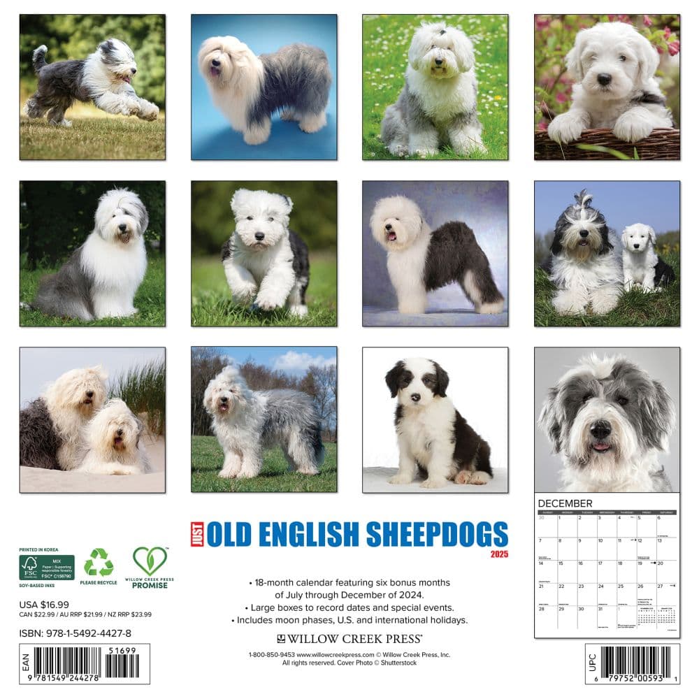 Just Old English Sheepdogs 2025 Wall Calendar - Calendars.com