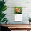 image Bulldog Puppies 2027 Mini Wall Calendar Fourth Alternate Image