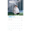 image Chonkers 2024 Wall Calendar First Alternate Image width=&quot;1000&quot; height=&quot;1000&quot;