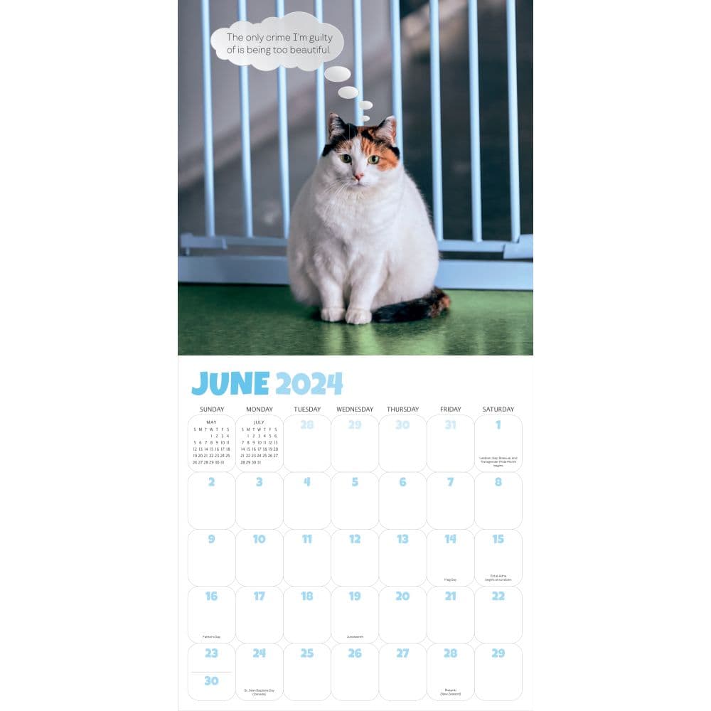 Chonkers 2024 Wall Calendar First Alternate Image width=&quot;1000&quot; height=&quot;1000&quot;
