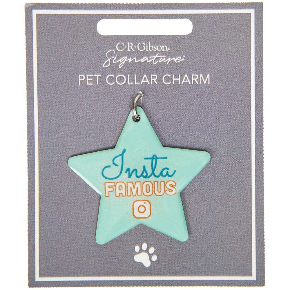 Insta Famous Dog Collar Slide Charm Alternate Image 2