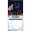 image Star Trek Cats 2025 Wall Calendar Fourth Alternate Image width=&quot;1000&quot; height=&quot;1000&quot;