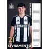 image Newcastle United FC Poster 2025 Wall Calendar Third Alternate Image