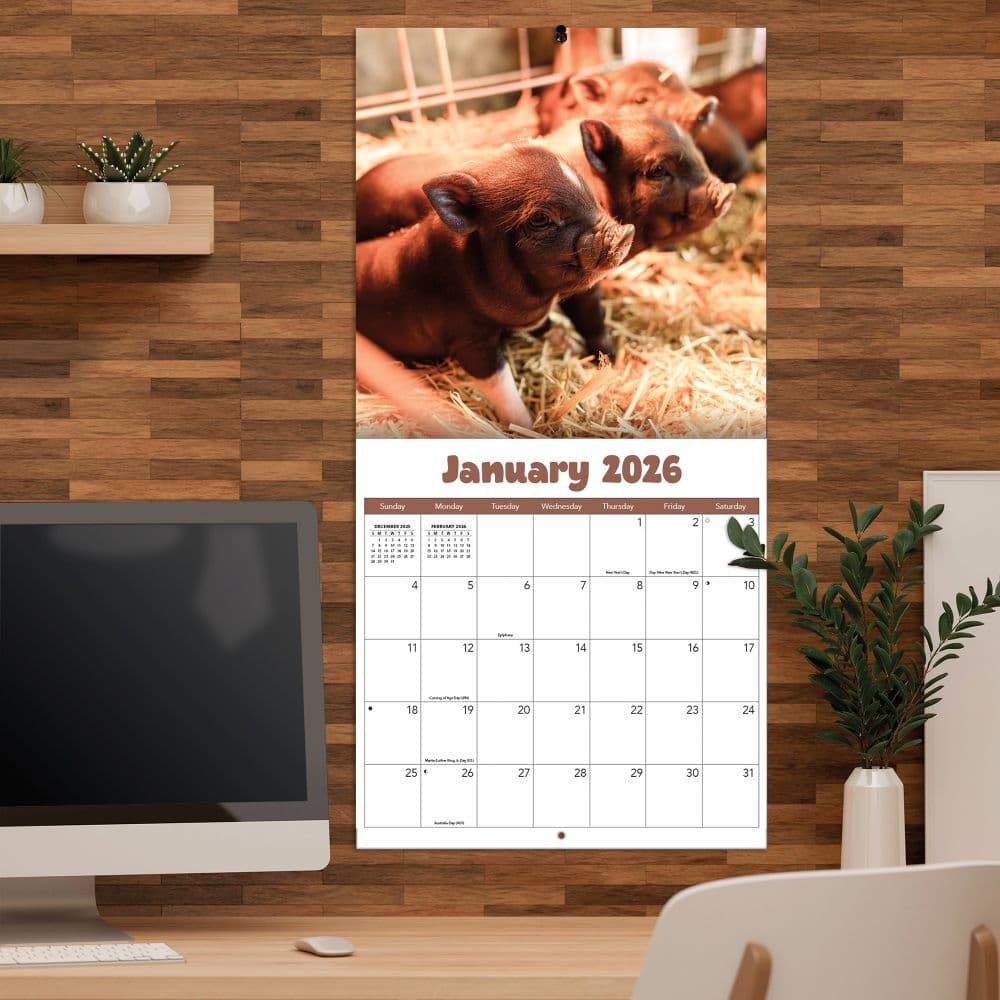 Baby Animals Photo 2026 Wall Calendar_ALT4