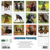 image Just Dobermans 2025 Wall Calendar