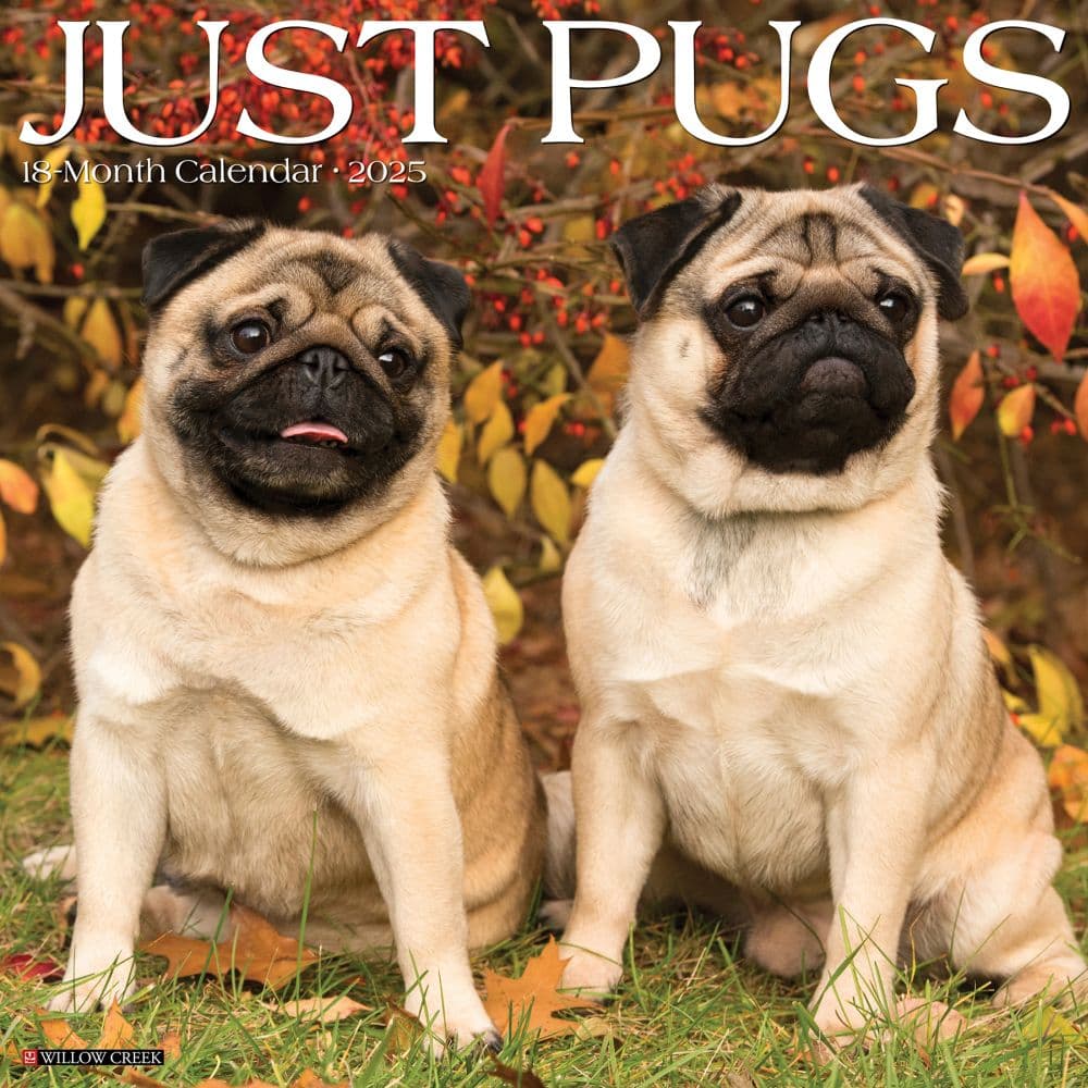 Just Pugs 2025 Wall Calendar