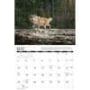 image Wolves 2026 Wall Calendar Second Alternate Image