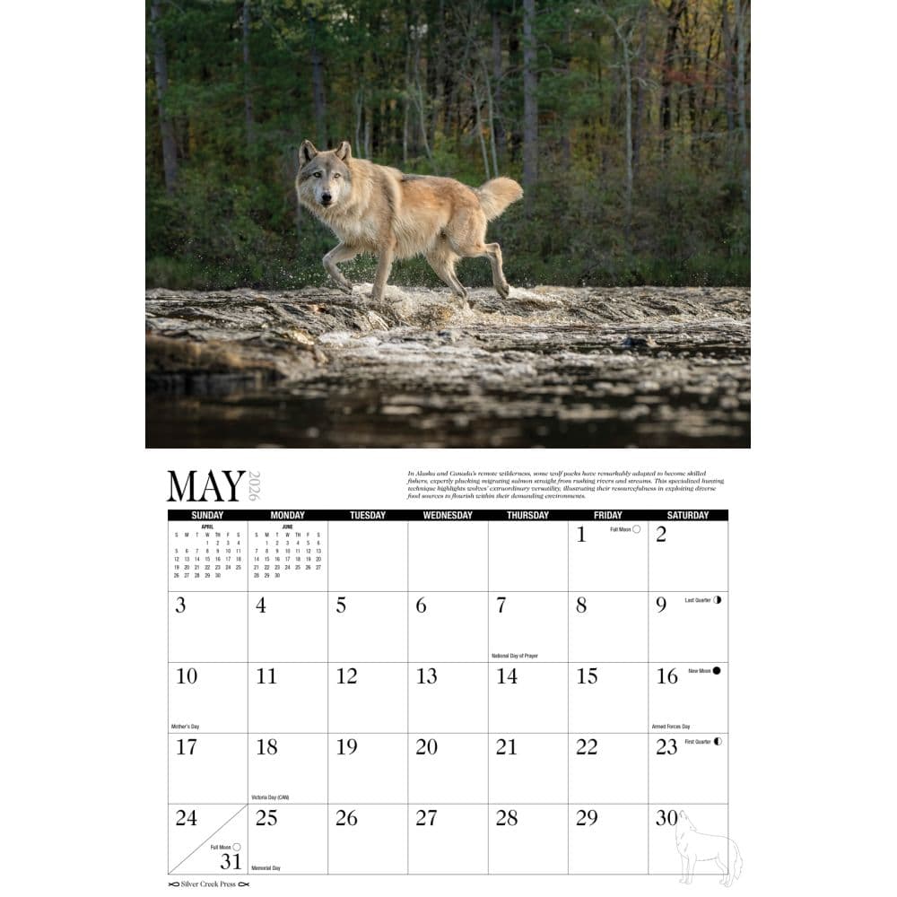 Wolves 2026 Wall Calendar Second Alternate Image