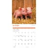 image Mini Pigs 2025 Wall Calendar Fourth Alternate Image width=&quot;1000&quot; height=&quot;1000&quot;