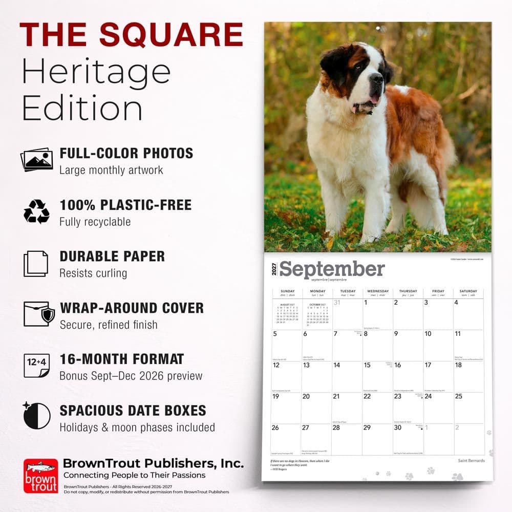 Saint Bernards 2027 Wall Calendar Sixth Alternate Image