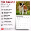 image Saint Bernards 2027 Wall Calendar Sixth Alternate Image