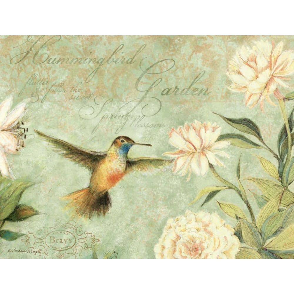 Hummingbirds 5.25” x 4” Blank Assorted Boxed Note Cards by Susan Winget ...