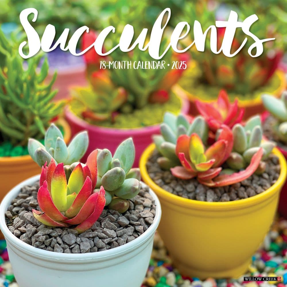 image Succulents 2025 Wall Calendar  Main Image