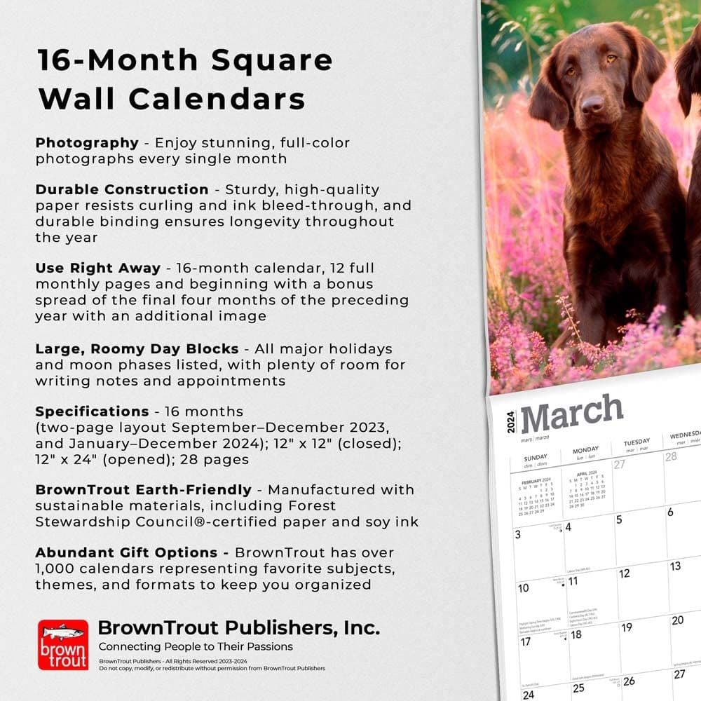 Flat-Coated Retrievers 2024 Wall Calendar Fourth Alternate Image width=&quot;1000&quot; height=&quot;1000&quot;