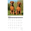 image Just Vizslas 2025 Wall Calendar