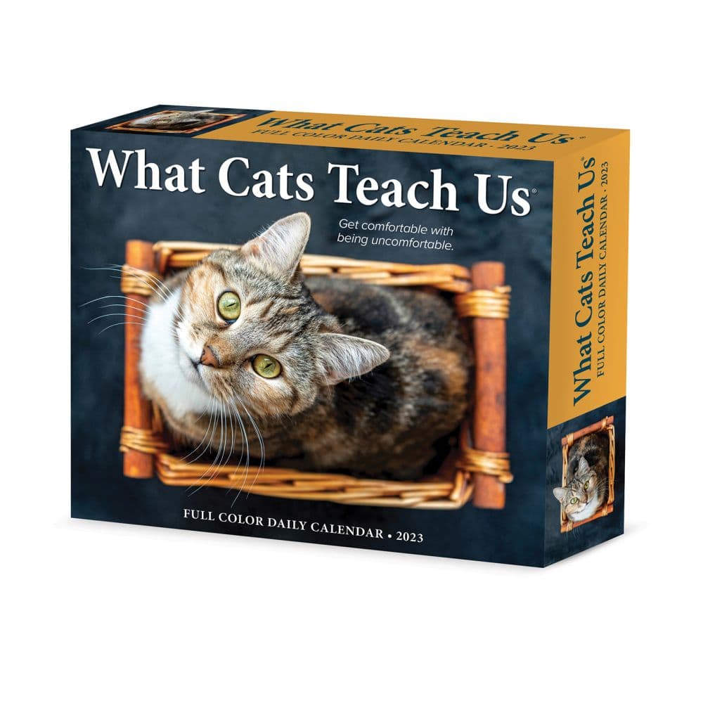 Willow Creek Press What Cats Teach Us 2023 Desk Calendar