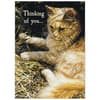 image Cats We Love Special Edition 2025 Wall Calendar Fourth Alternate Image width=&quot;1000&quot; height=&quot;1000&quot;