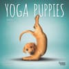 image Yoga Puppies 2025 Mini Wall Calendar Main Product Image width=&quot;1000&quot; height=&quot;1000&quot;