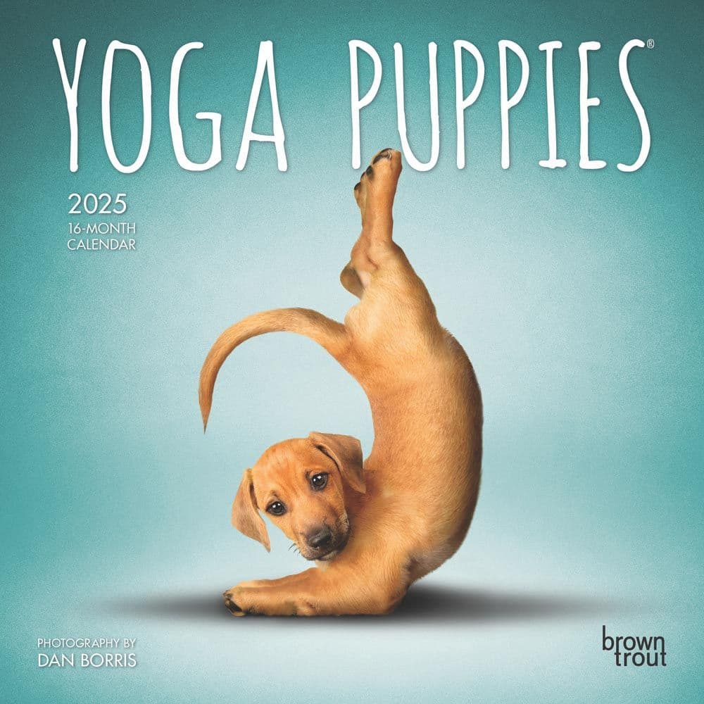 Yoga Puppies 2025 Mini Wall Calendar Main Product Image width=&quot;1000&quot; height=&quot;1000&quot;