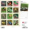 image Frogs 2024 Wall Calendar First Alternate Image width=&quot;1000&quot; height=&quot;1000&quot;