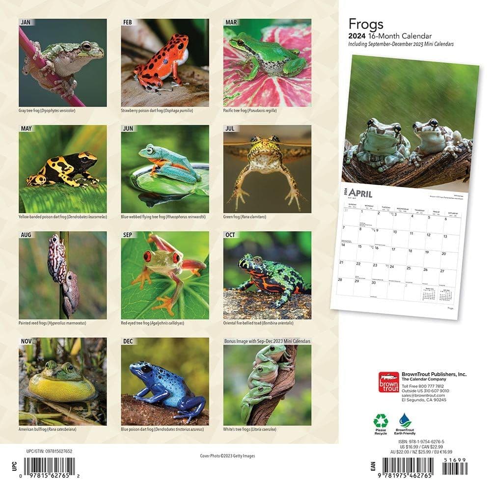 Frogs 2024 Wall Calendar First Alternate Image width=&quot;1000&quot; height=&quot;1000&quot;