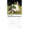 image Just Papillons 2026 Wall Calendar Second Alternate Image