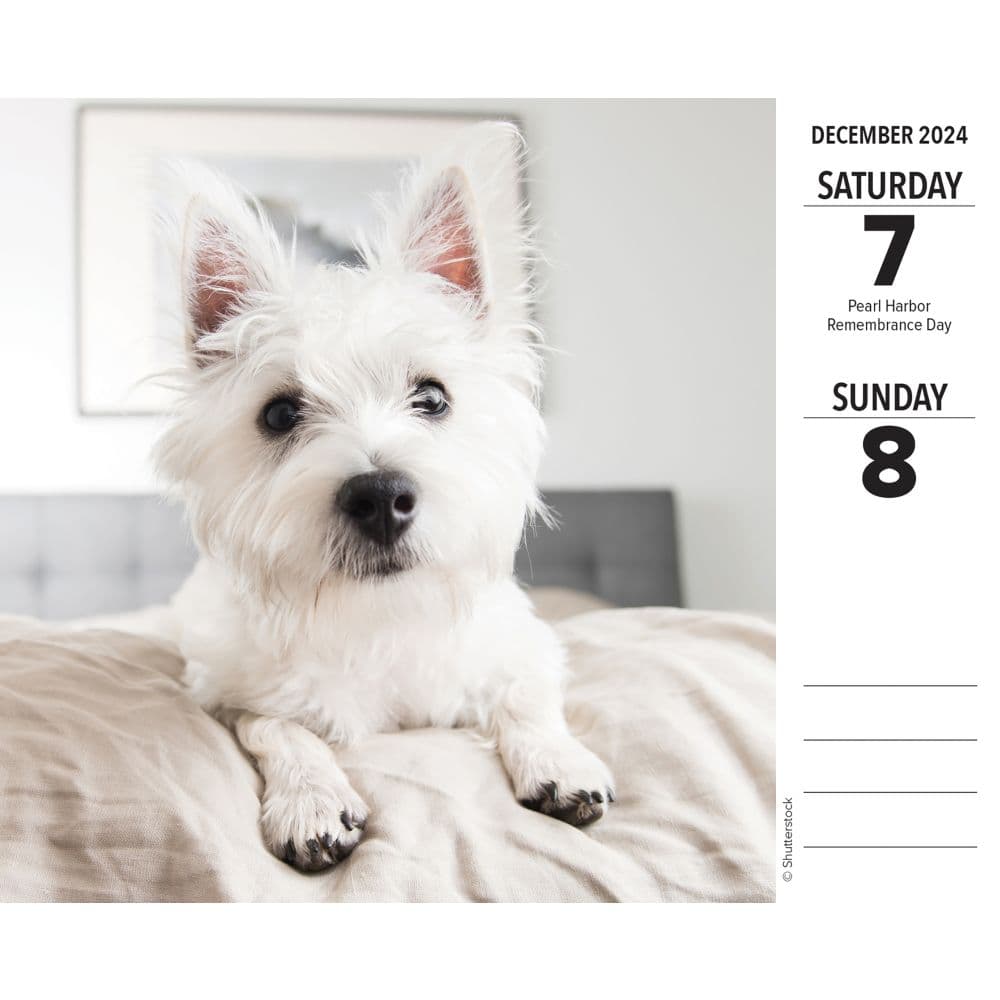 Just Westies 2024 Desk Calendar