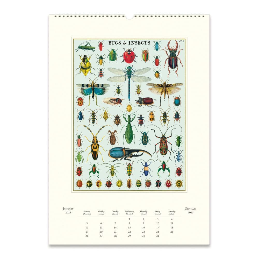 Bugs and Insects 2025 Wall Calendar First Alternate Image width="1000" height="1000"