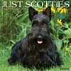 image Just Scotties 2026 Wall Calendar Main Image