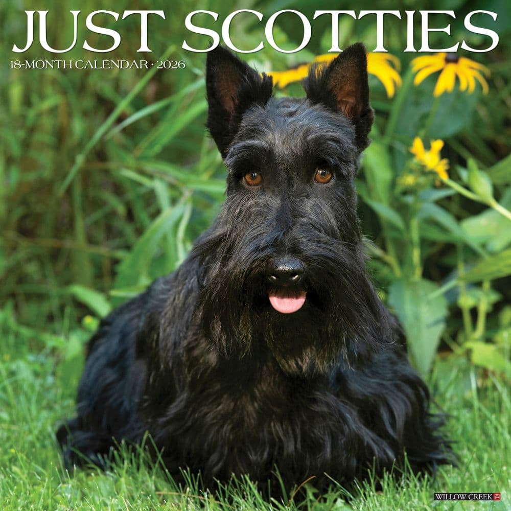 Just Scotties 2026 Wall Calendar Main Image