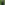 image Just Scotties 2026 Wall Calendar Main Image