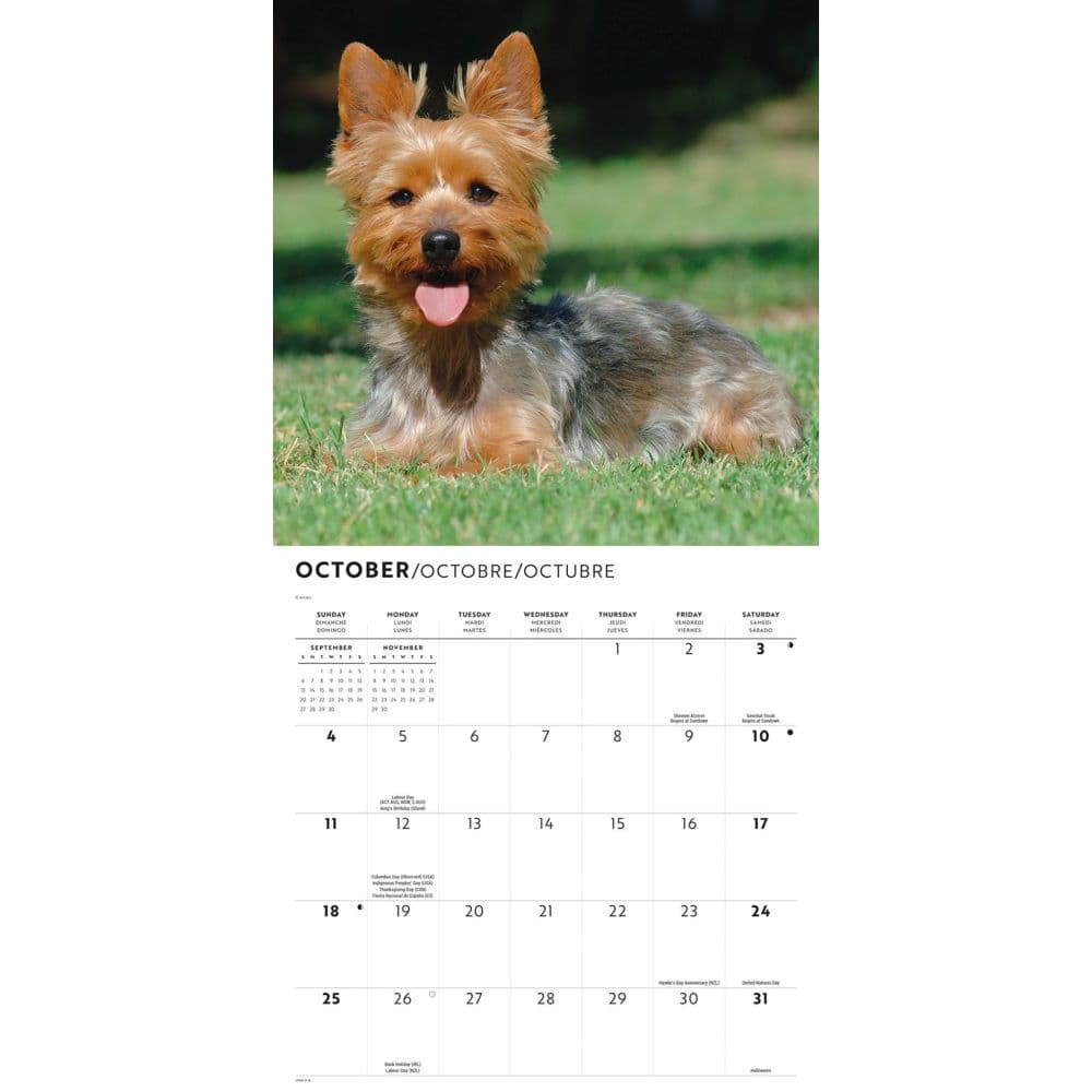 Just Yorkies 2026 Wall Calendar Fourth Alternate Image