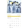 image Baby Animals Special Value 2026 Wall Calendar Second Alternate Image