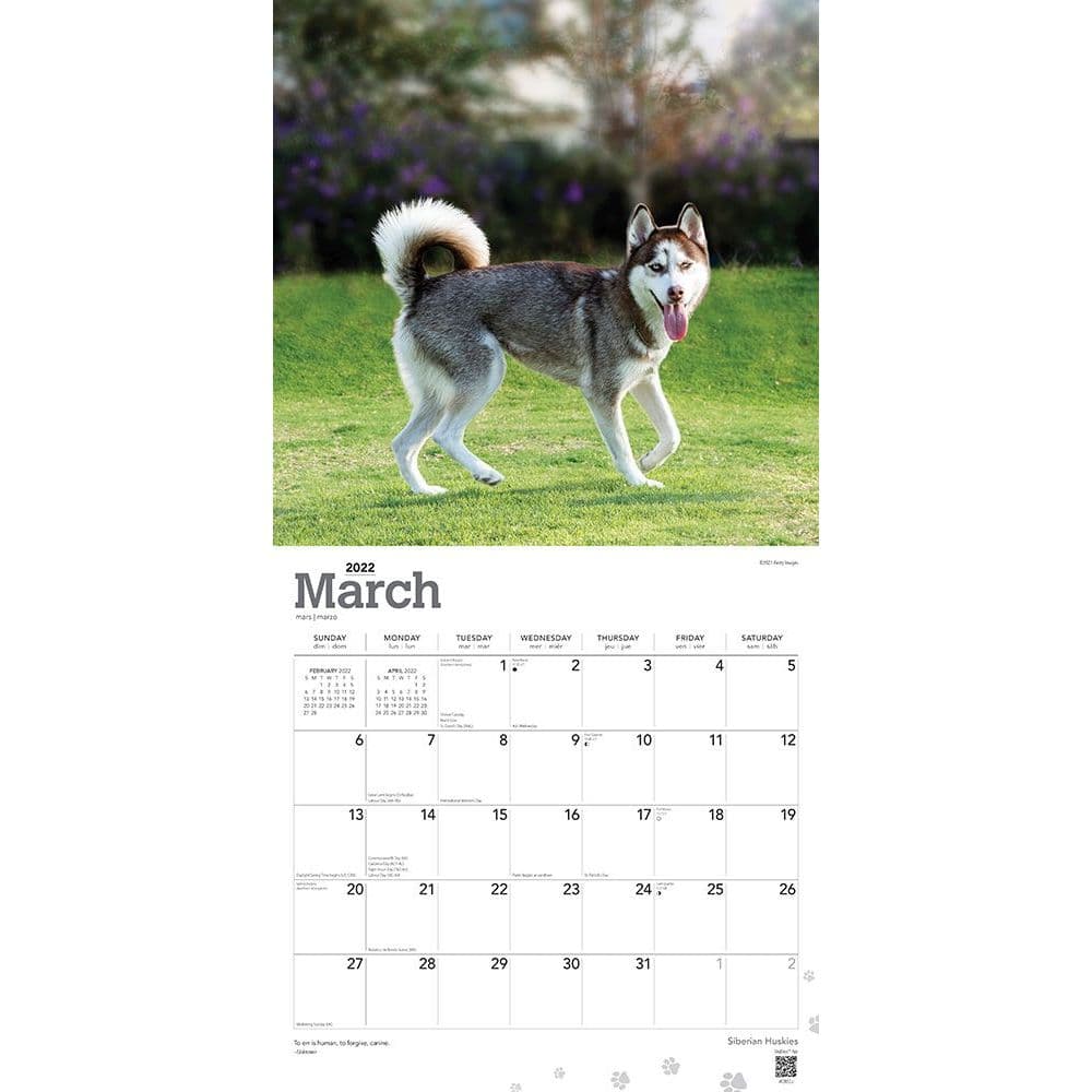 Huskies Schedule 2022 Siberian Huskies 2022 Wall Calendar - Calendars.com