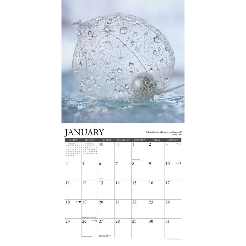 Inspirations 2026 Wall Calendar Second Alternate Image