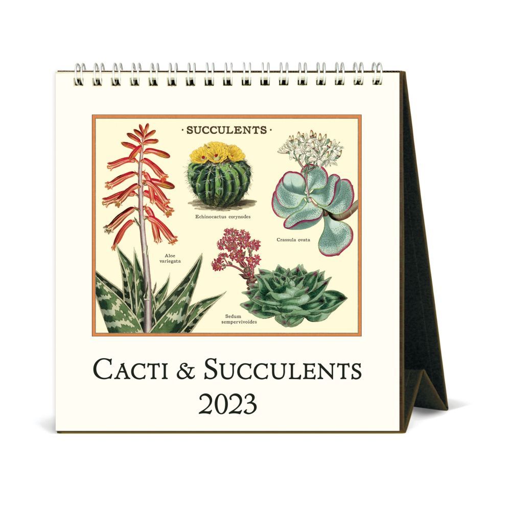 Succulents 2023 Easel Calendar