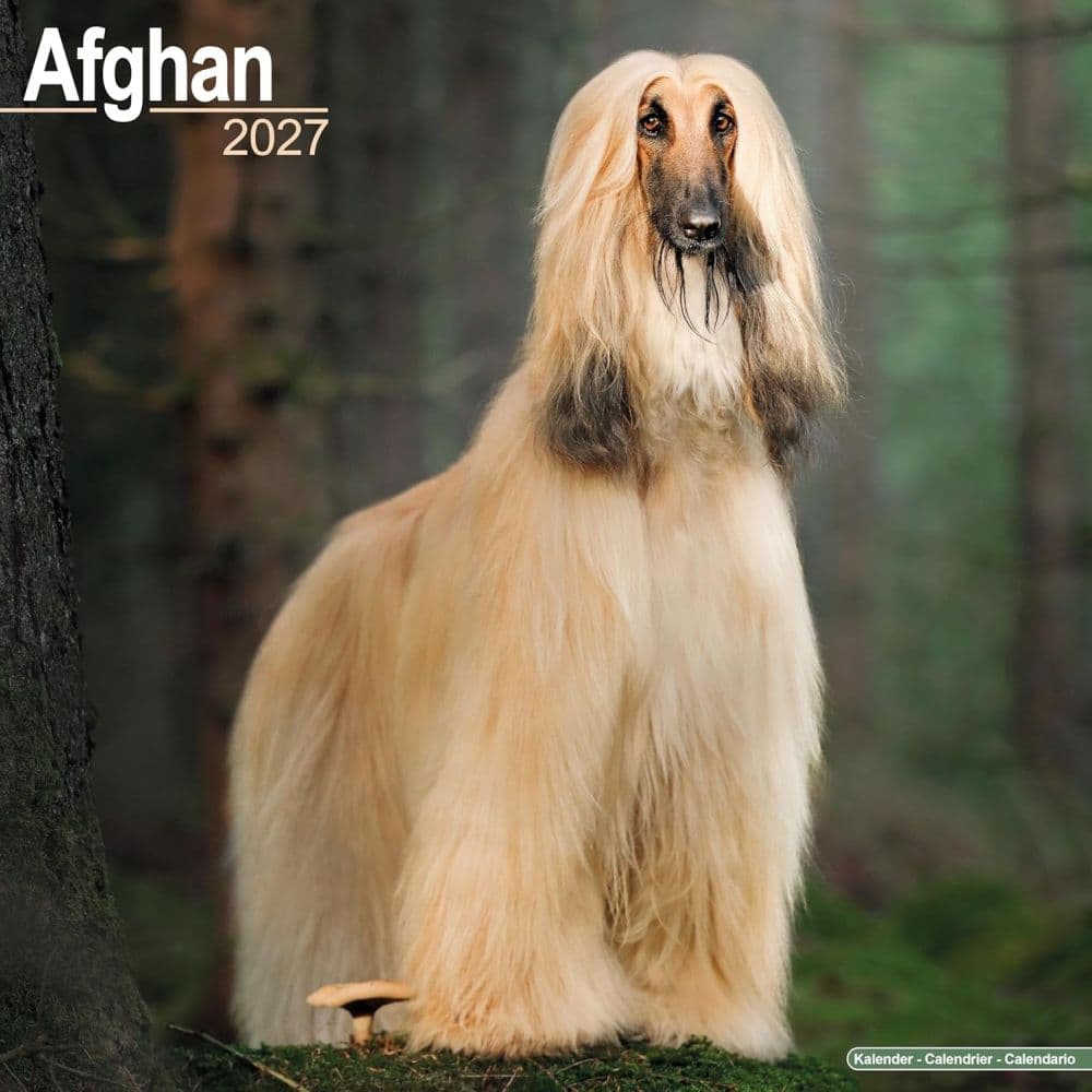 Afghan 2027 Wall Calendar
