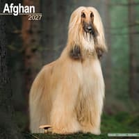 image Afghan 2027 Wall Calendar