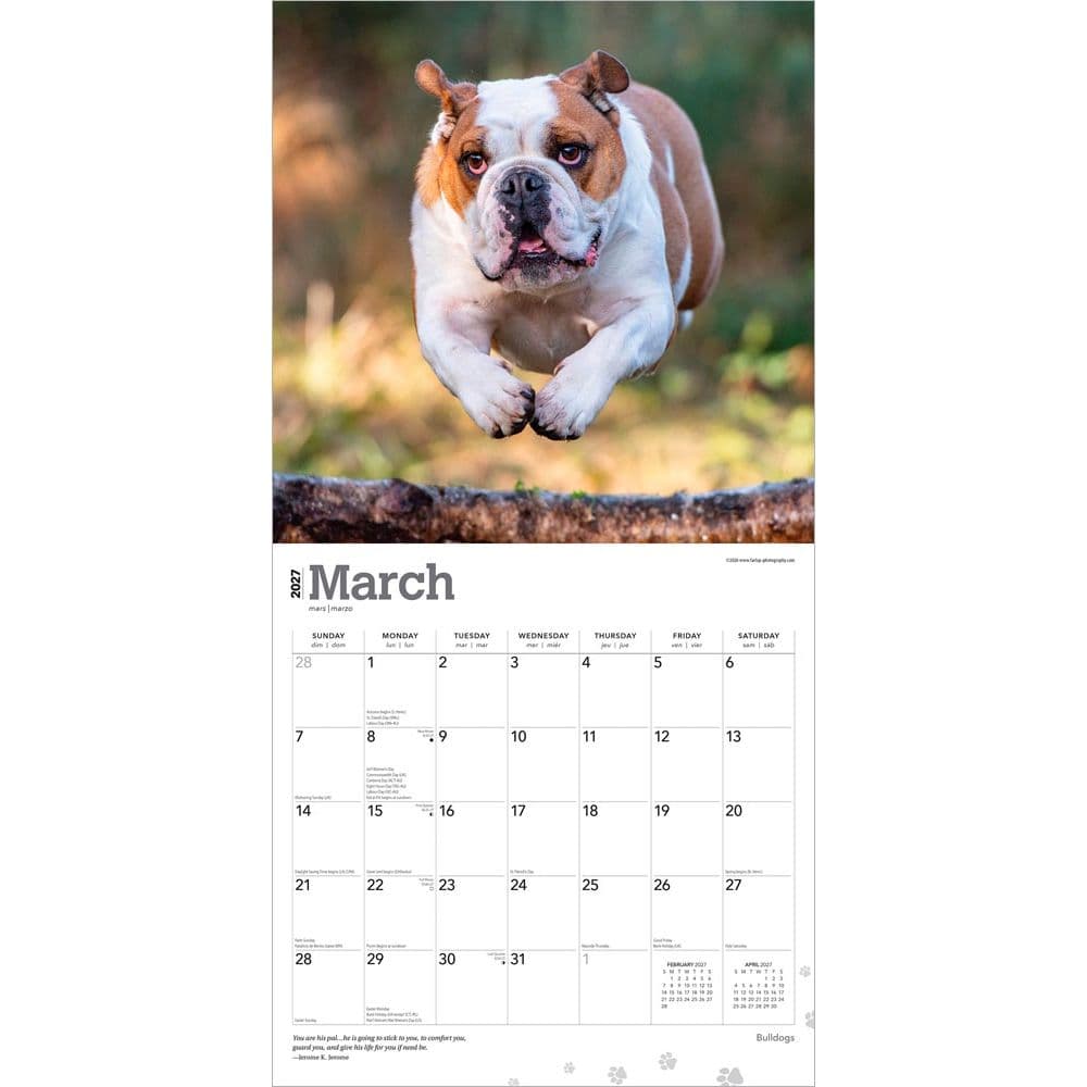 Bulldogs 2027 Wall Calendar Second Alternate Image