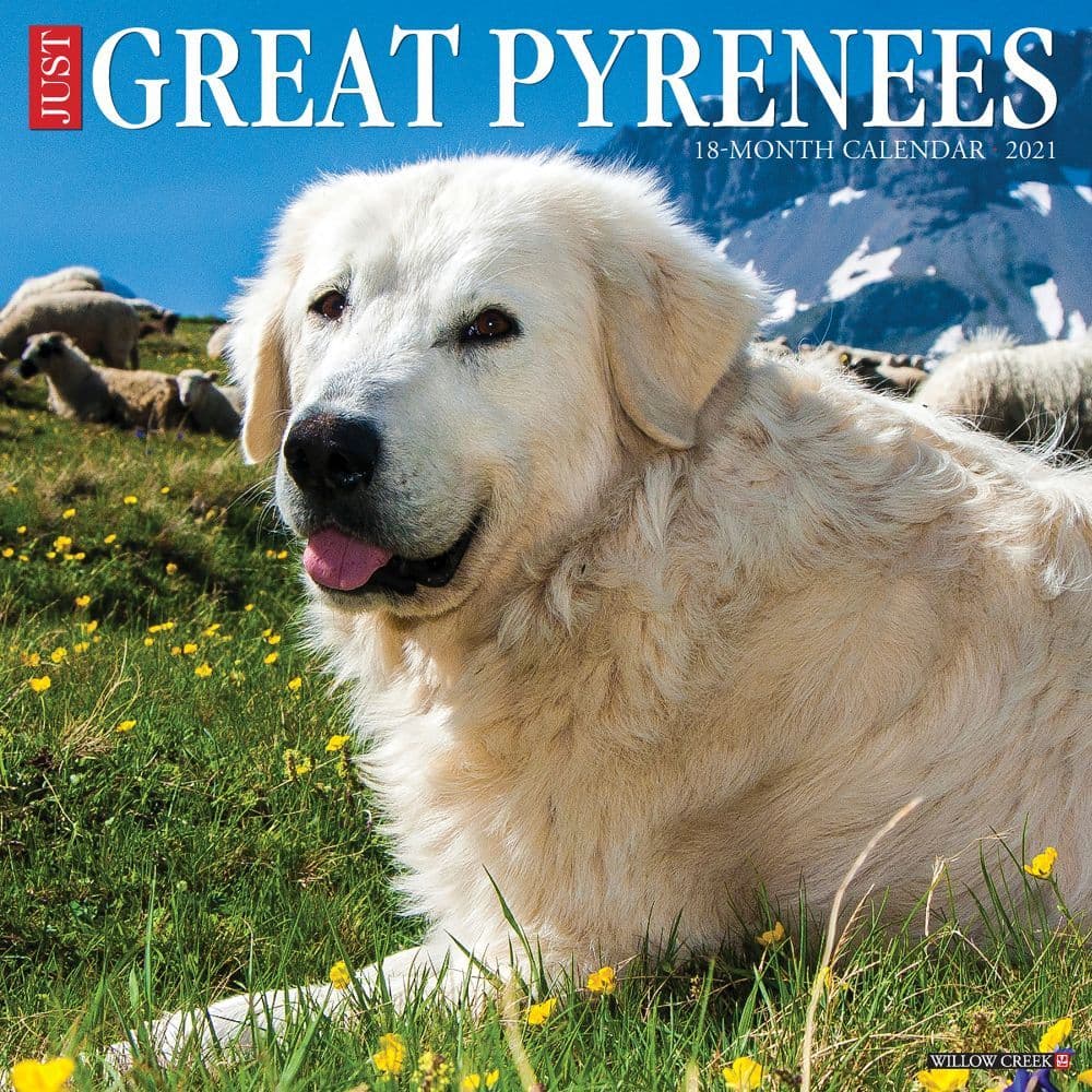 Download Great Pyrenees Wall Calendar - Calendars.com