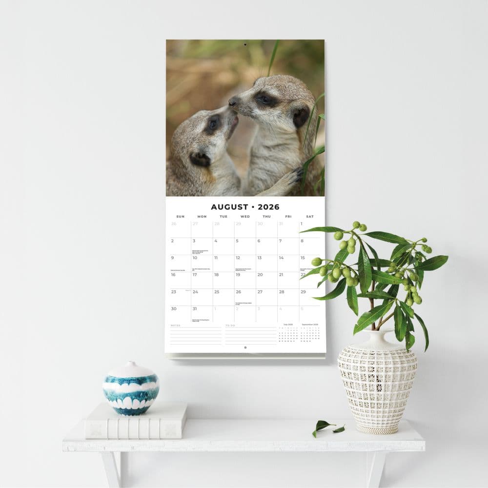 Meerkats 2026 Wall Calendar Third Alternate Image