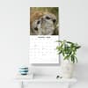image Meerkats 2026 Wall Calendar Third Alternate Image
