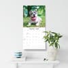 image Staffordshire Bull Terriers 2027 Wall Calendar Fifth Alternate Image