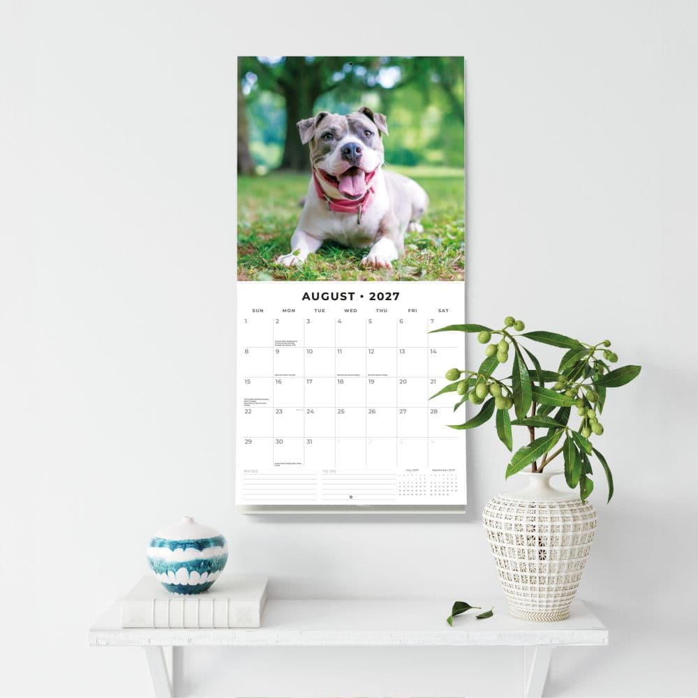 Staffordshire Bull Terriers 2027 Wall Calendar Fifth Alternate Image