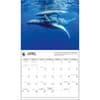 image Baby Animals WWF 2025 Wall Calendar Second Alternate Image width="1000" height="1000"