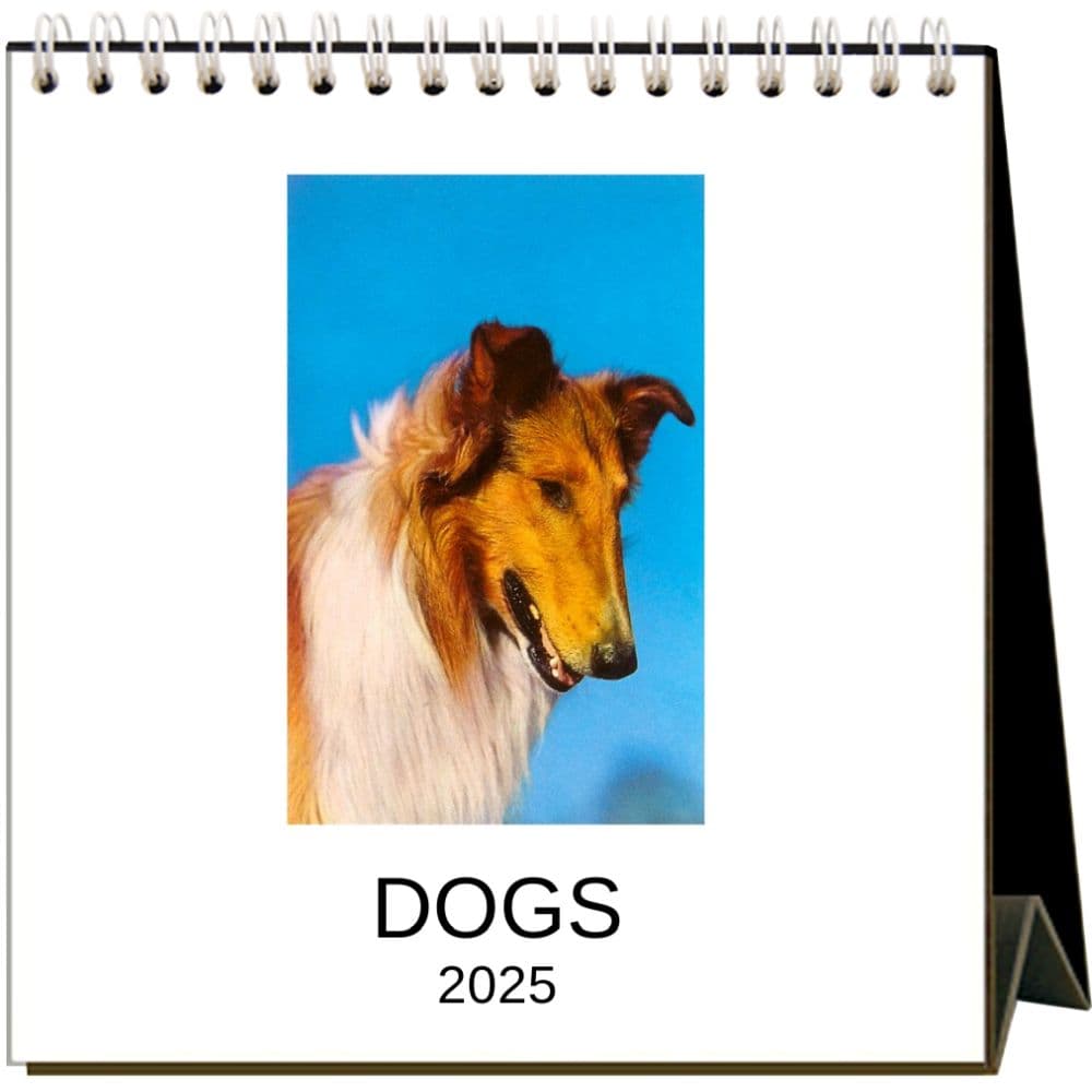 Dog Crazy 2025 Easel Desk Calendar
