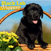 image Black Lab Puppies 2027 Wall Calendar Main Image