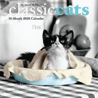 image Classic Cats 2026 Mini Wall Calendar Main Image