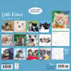 image Just Kittens 2026 Wall Calendar First Alternate Image