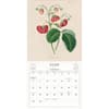 image World of John Derian 2025 Wall Calendar Third Alternate Image width="1000" height="1000"